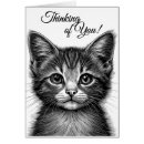 Buscar pequeño gato blanco tarjetas Gatito