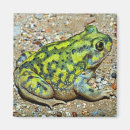 Buscar sapo imanes Verde