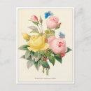 Buscar pierre joseph redoute postales Flores