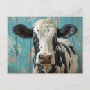 Buscar dairy cow postales Adorable