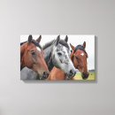 Buscar caballos marrones posters Cualquier niño