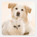 Buscar imagen del perro pegatinas Animal