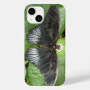 Buscar mariposa tropical iphone fundas Animales