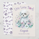 Buscar perro maltés tarjetas Raza de perro