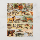 Buscar mamíferos postales Tigre