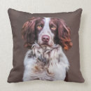 Buscar espía cojines Acuarela