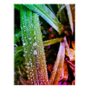Buscar gotas de lluvia posters Brillante