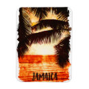 Buscar palmera tropical imanes Vacaciones