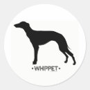Buscar whippet pegatinas Animal