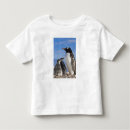 Buscar gentoo camisetas Antártida