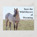 Buscar tiburón salvaje postales Para todos