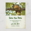 Buscar foto de la ardilla invitaciones Adorable