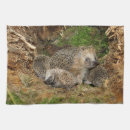 Buscar erizo paños de cocina Alemania