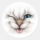 Buscar winking pegatinas 9 º gata