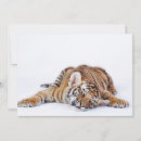 Buscar cachorro de tigre tarjetas Animal