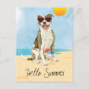 Buscar miserable postales Estafador de pitbull americano