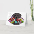Buscar labrador negro tarjetas Lindo