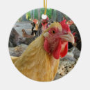 Buscar pollos adornos Ornamento de pollo