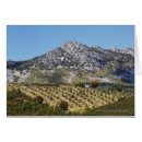 Buscar olivares postales Escena