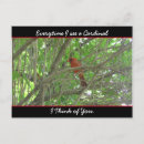 Buscar pienso en ti postales Animales