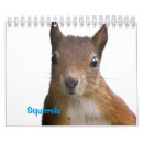 Buscar ardillas lindas calendarios Roedor