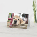 Buscar perro triste tarjetas Extrañar