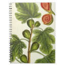 Buscar herbario cuadernos Elizabeth