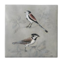 Buscar pares azulejos Animales