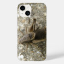 Buscar insectos marrones iphone fundas Naturaleza