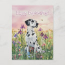 Buscar dalmacia postales Dálmata