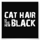 Buscar pelo del gato posters Divertido