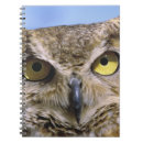 Buscar búhos libretas Fauna
