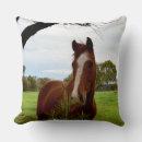 Buscar bancos cojines Caballo