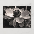 Buscar funerarias postales Para ella