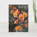 Buscar peruana tarjetas Para todos