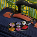 Buscar zinnia Negro