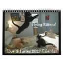 Buscar amor calendarios Gatos