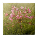 Buscar imagen floral azulejos Imágenes gallo