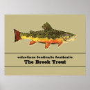 Buscar trucha posters Pescador