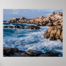 Buscar casa de playa posters Naturaleza