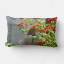 Buscar mariposa roja cojines Flor
