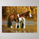 Buscar caballo gitano posters Langrish bob