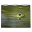 Buscar ranas calendarios Pájaros