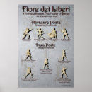 Buscar liberia posters Histórico