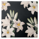 Buscar dramático azulejos Elegante