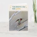 Buscar colibrí tarjetas Fotografía