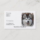 Buscar siberian husky tarjetas de visita Perrito