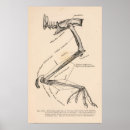 Buscar fantasmagórico arte Vintage