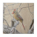 Buscar sexo azulejos Naturaleza