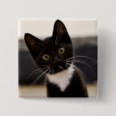 Buscar smoking chapas Gatito